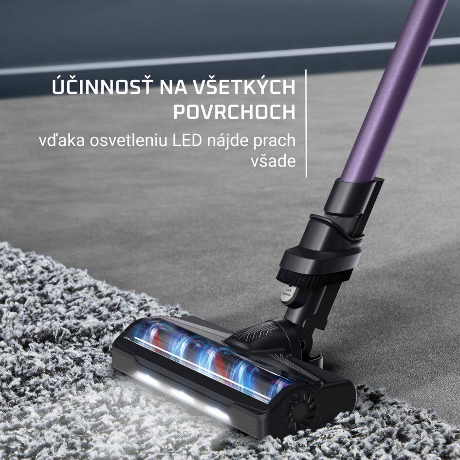 Tyčový vysávač X-PERT 7.60 RH6A31WO