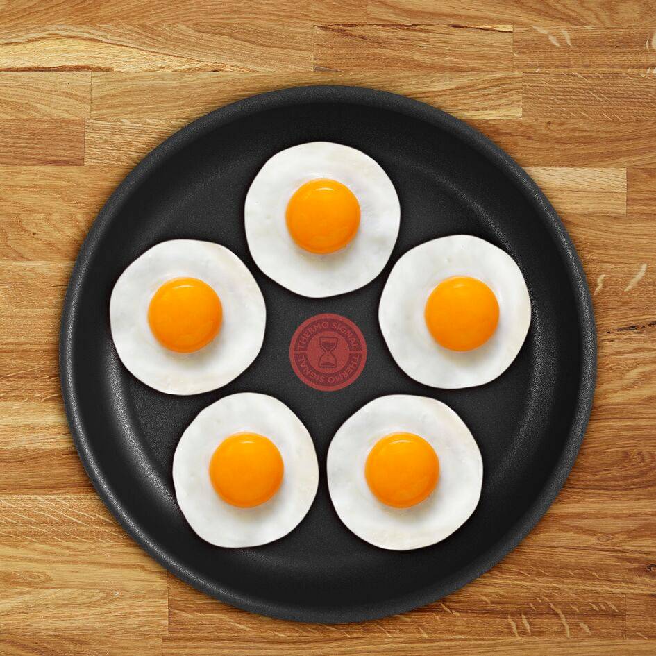 Panvica Tefal Emotion E3000604 28 cm