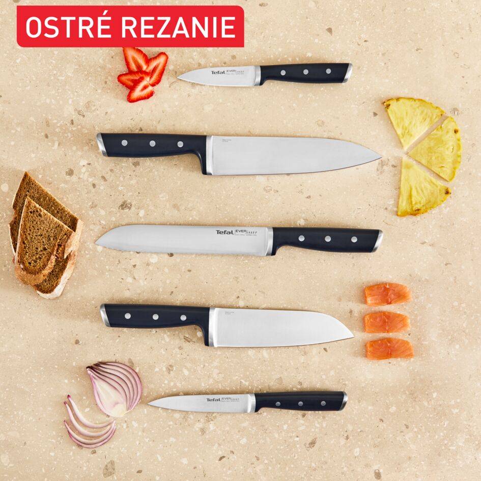 Súprava kuchynských nožov a blok na nože s integrovanou brúskou Tefal EverSharp K297S644 5 ks