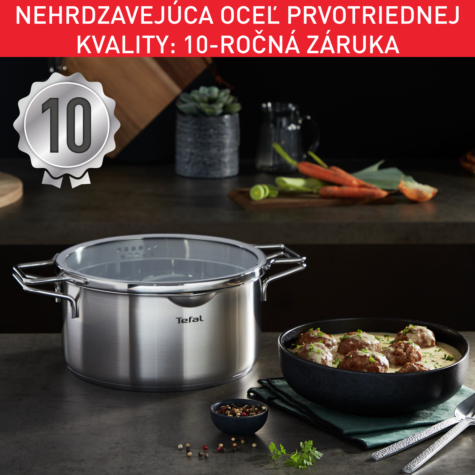 10-dielna súprava Tefal Nordica H852SA56 Nerez