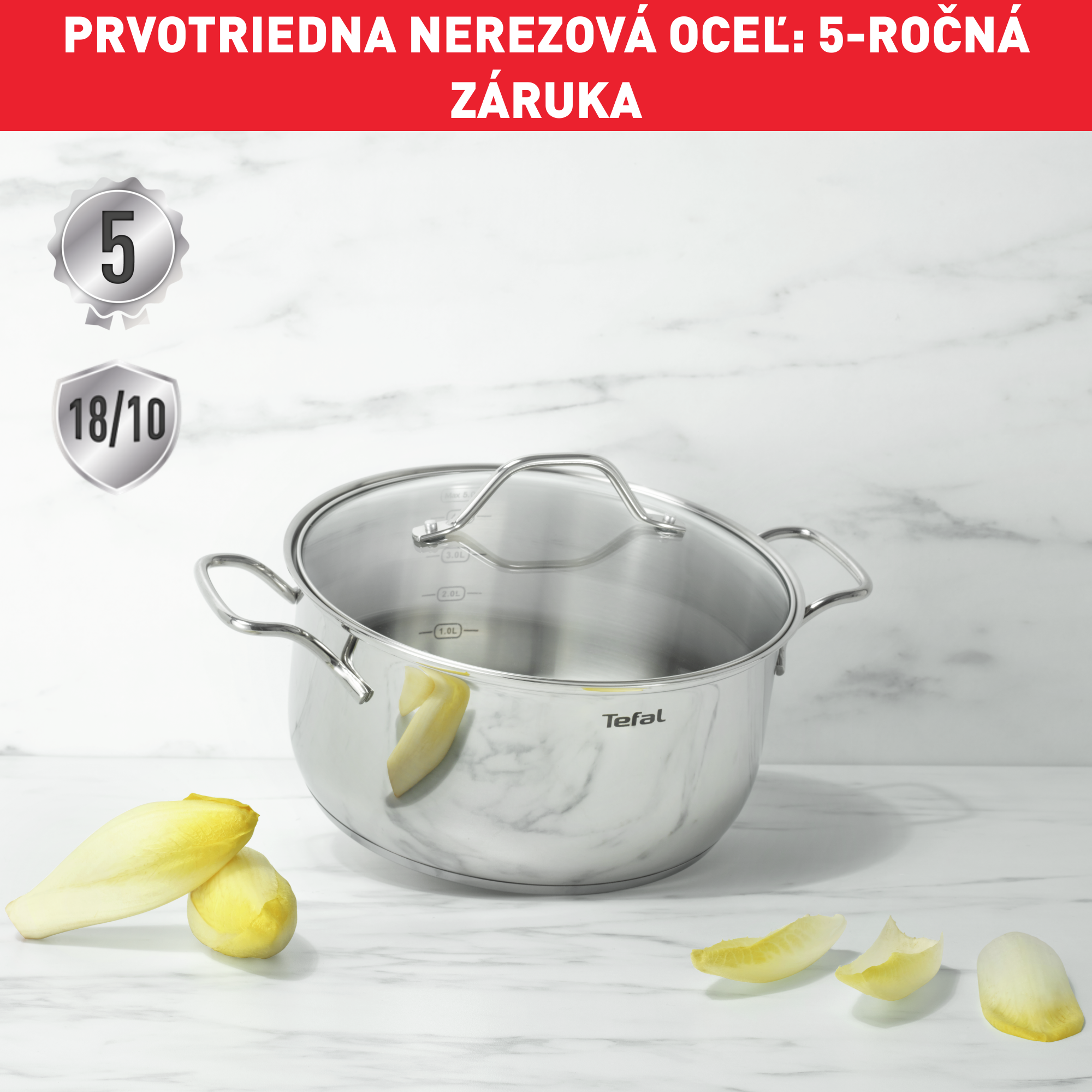 Kastról s pokrievkou Tefal Intuition B8644474 20 cm