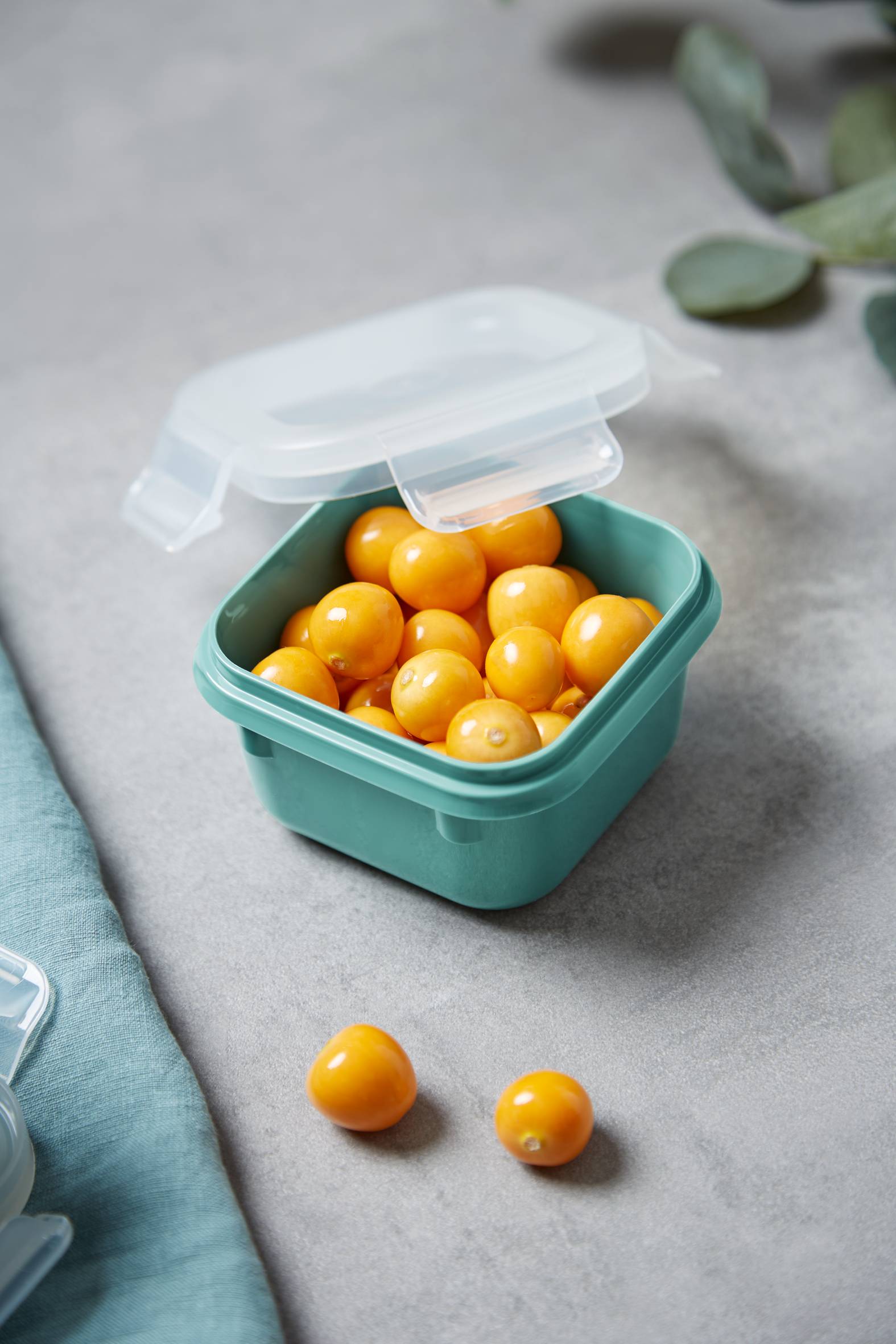 Sada dóz na potraviny Masterseal Colour Edition N1031010 4 ks