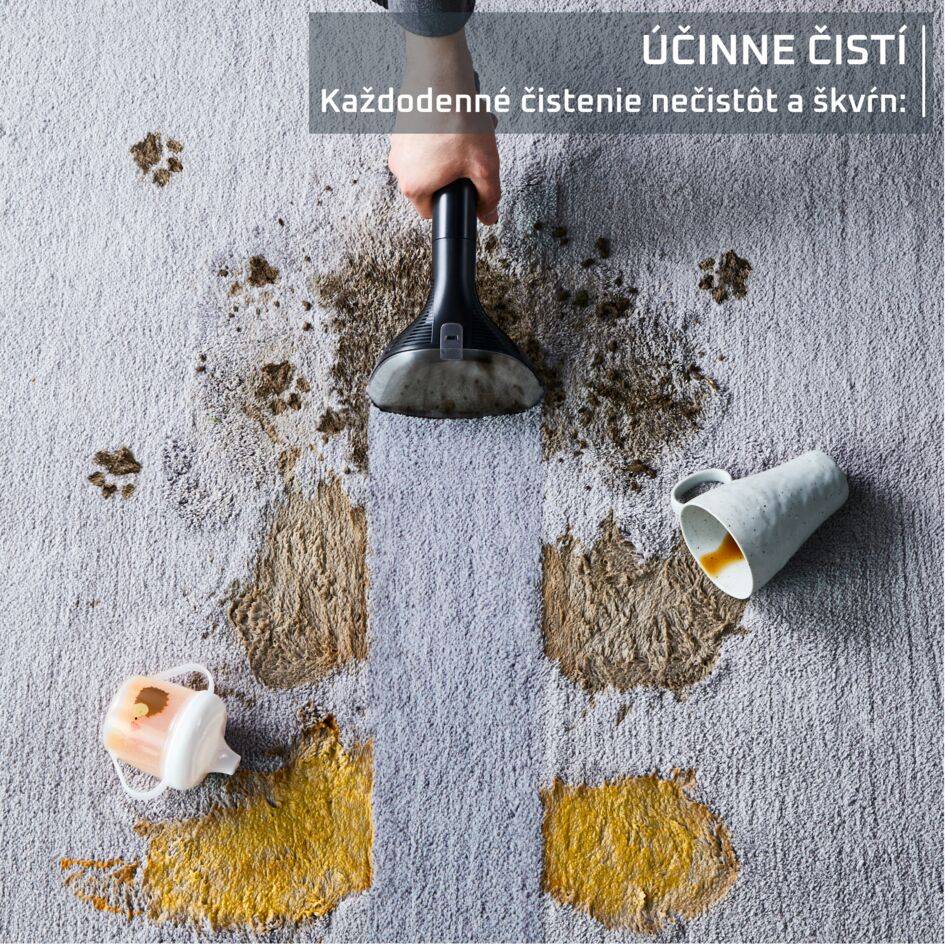 Multifunkčný čistič čalúnenia a kobercov Rowenta Clean It IN5011F0