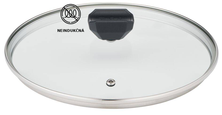 Hrniec s pokrievkou Tefal Simply Clean B5674653 24 cm