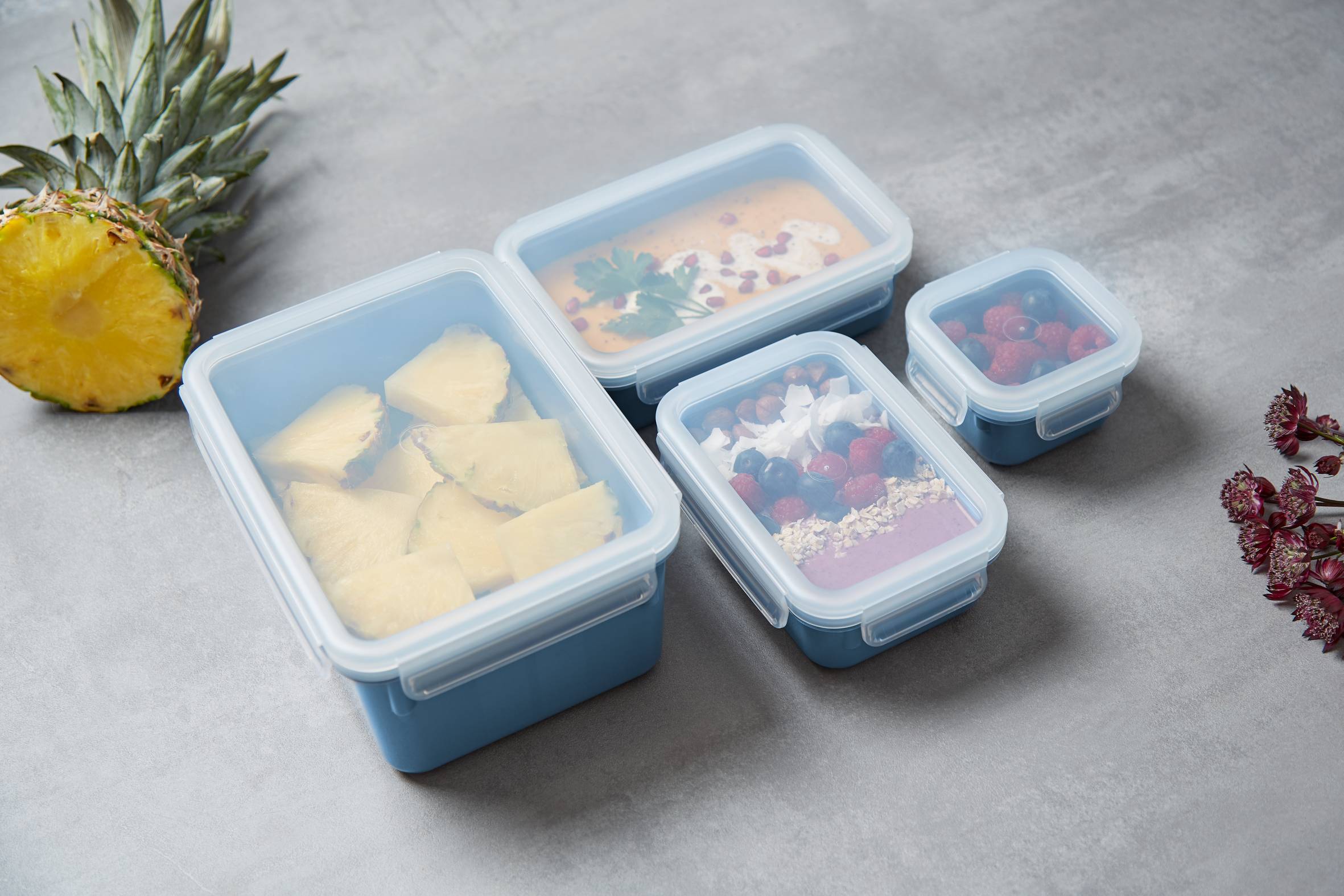 Sada dóz na potraviny Tefal Masterseal Colour Edition N1030810 4 kusy