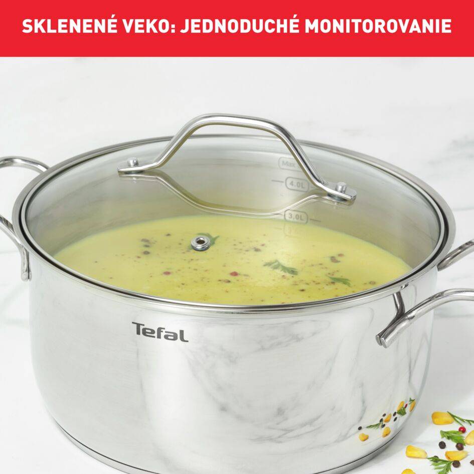 Kastról s pokrievkou Tefal Intuition B8644474 20 cm