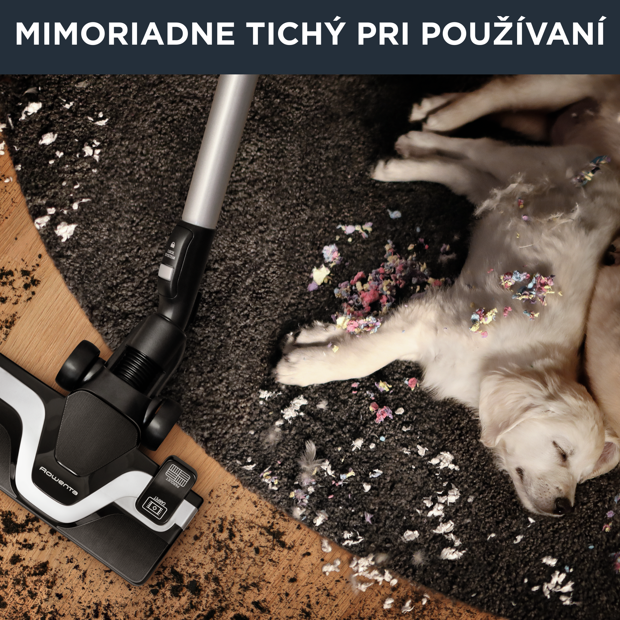 Bezvreckový vysávač Silence Force Cyclonic 65dB Animal RO7690EA