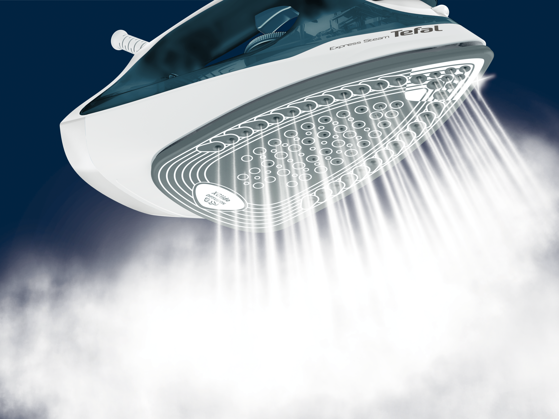 EXPRESS STEAM FV2839E0