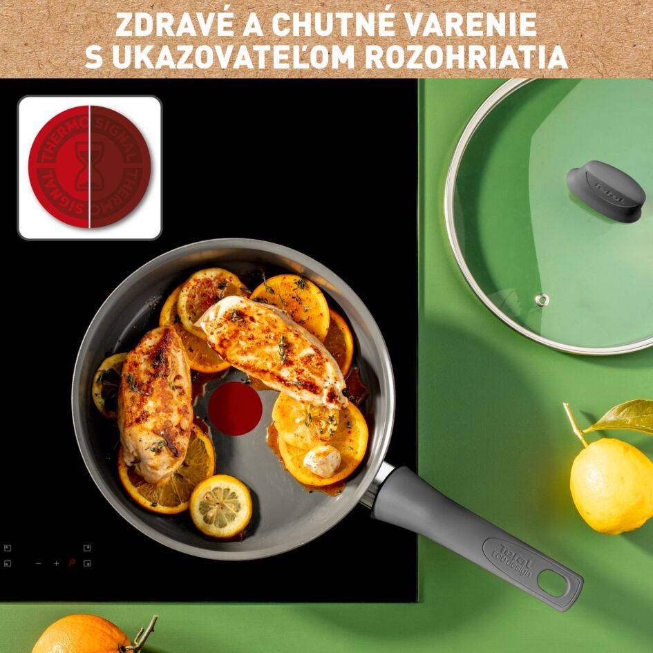 Hlboká panvica Tefal Renewal 24cm Keramická C4263243