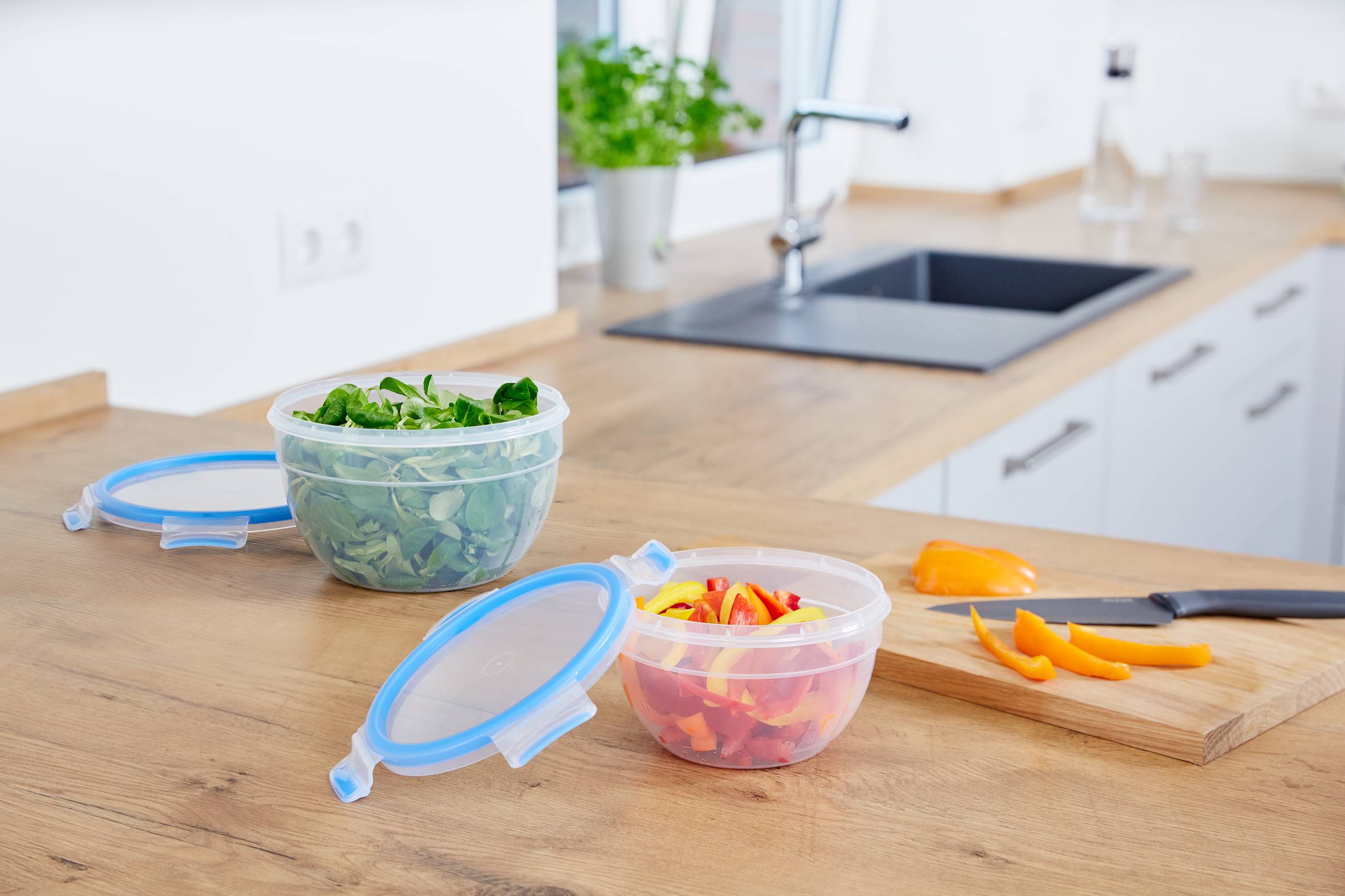 Sada dóz na potraviny Tefal Masterseal N1011610 2 ks