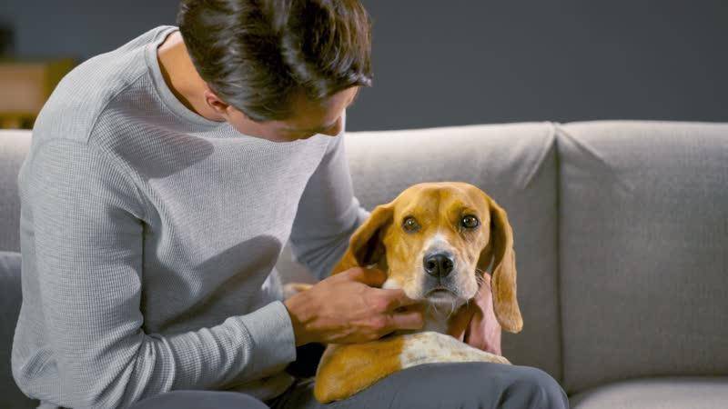 X-FORCE FLEX 10.80, Cordless Vacuum, Deep Vacuuming Made Effortless