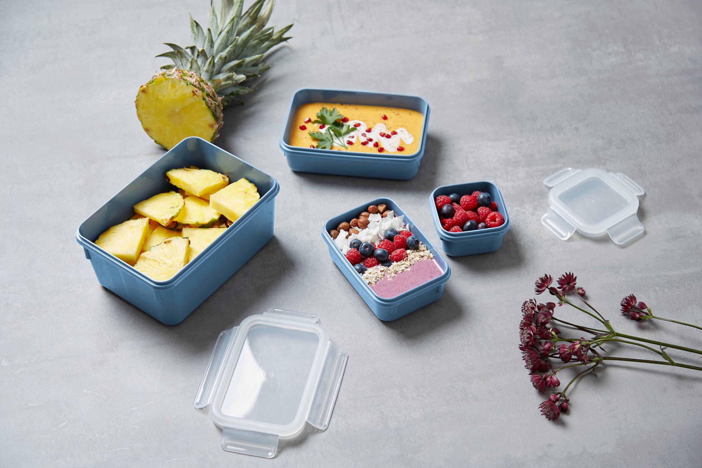 Sada dóz na potraviny Tefal Masterseal Colour Edition N1030810 4 kusy