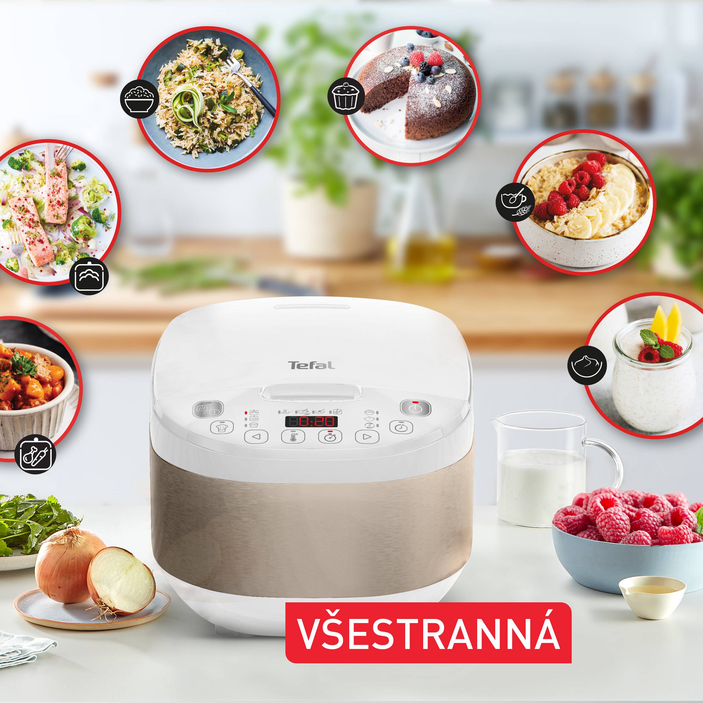 Multifunkčný elektrický hrniec Tefal Simply Cook Plus RK6221E1 strieborný/biely